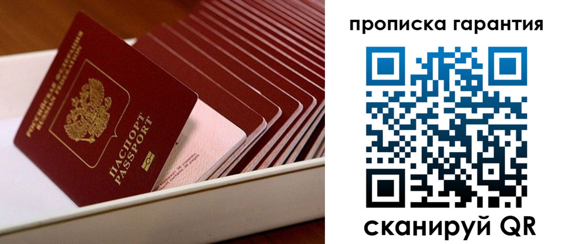 прописка поиск в Кирсанове